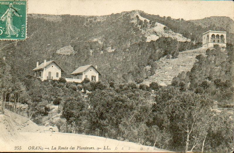 X ORAN 1908 LA ROUTE DES PLANTEURS.JPG